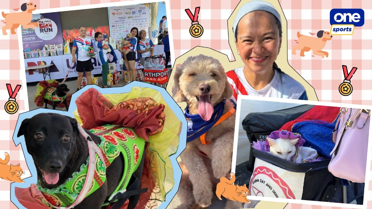 Fun run, fur run: Furparents share tips for running with pets